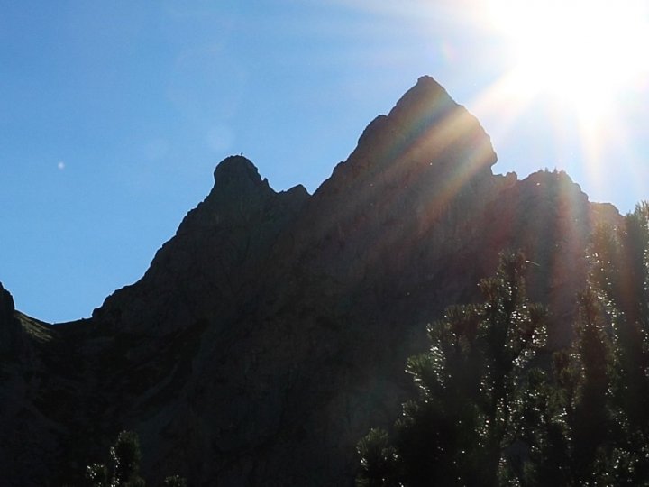38_3936.jpg