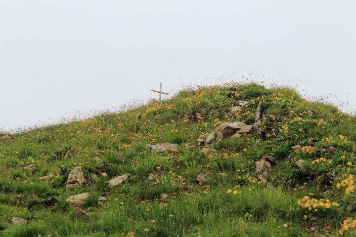 35_IMG_2504.JPG
