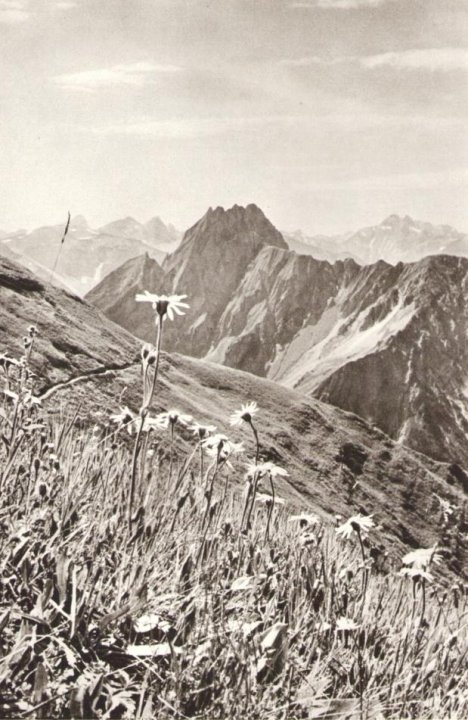 Bild55 Fritz und Eugen Heimhuberpaint.jpg