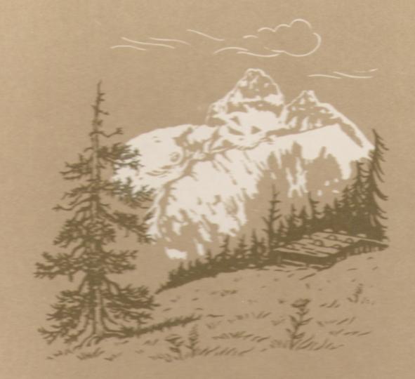 Bild59 Erich Weber - Einbandvignettepaint.jpg