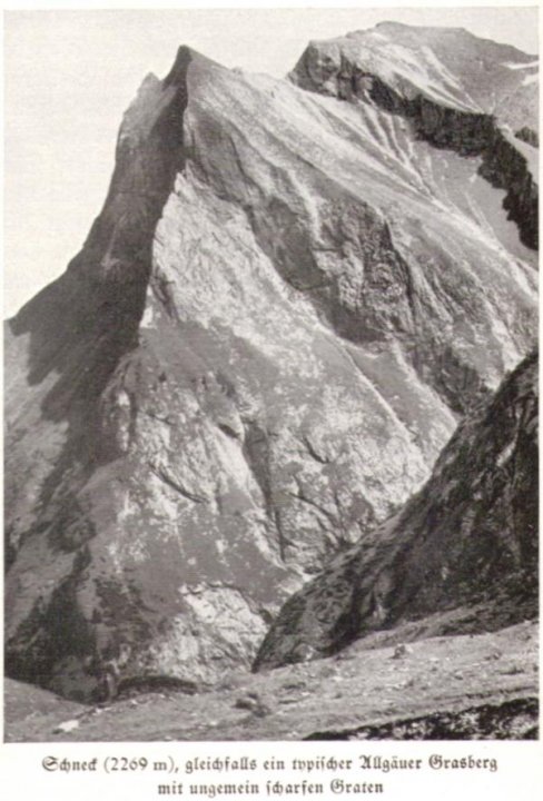 Frey1932_41paint.jpg