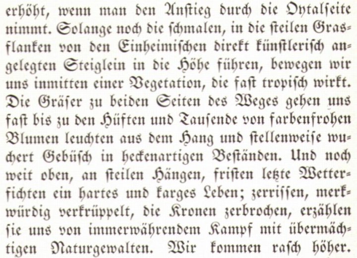 Frey1932_42paint.jpg