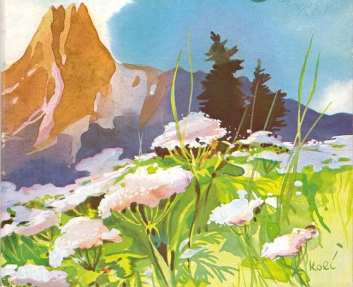 11_Gemaelde von Anton KolnbergerDetail1paint.jpg