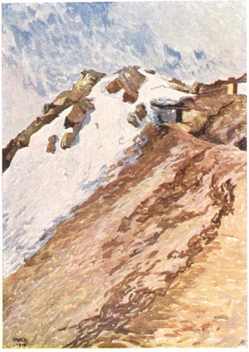 546_Fangh Suedtiroler Front 1916paint.jpg