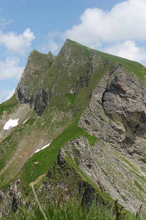 203.jpg