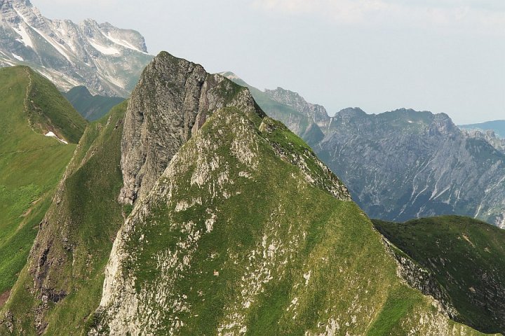 215.jpg