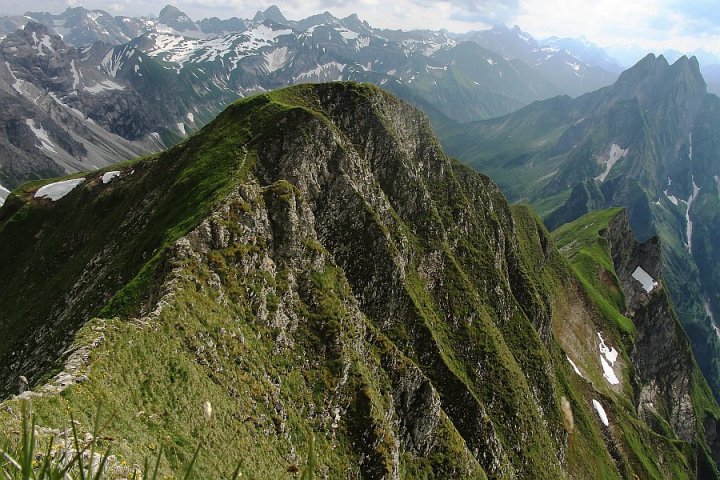 217.jpg
