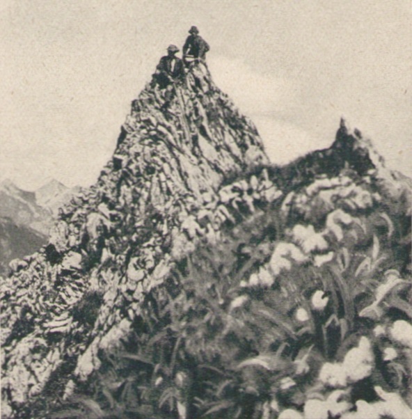 Adolf Schulze - Hoefats-Ostgipfel 1904paint.jpg