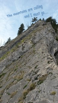 Angi