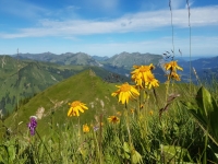 Toblermann (2.010m), Hörnlekopf (2.151m), Hörnle (2.112m) und Ruchwannekopf (2.179m)