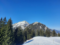Von Berwang auf den Almkopf (1.802m)