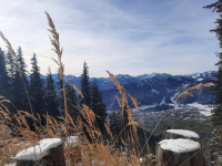 Von Oberammergau auf den Großen Aufacker (1.542m)
