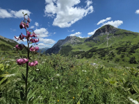 Über die Südwand auf die Rote Wand (2.704m)