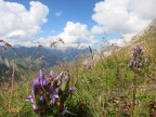 Westlicher Erlispitze, Roggspitze und Östliche Erispitze