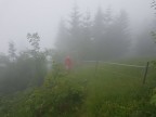 Tälispitze, Kuhspitze, Hüttenkopf und Hochgerach