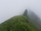 Tälispitze, Kuhspitze, Hüttenkopf und Hochgerach