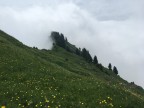 Tälispitze, Kuhspitze, Hüttenkopf, Hochgerach