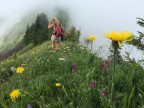 Tälispitze, Kuhspitze, Hüttenkopf, Hochgerach