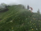 Tälispitze, Kuhspitze, Hüttenkopf, Hochgerach