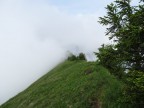 Tälispitze, Kuhspitze, Hüttekopf, Hochgerach