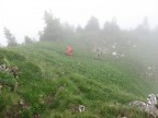 Tälispitze, Kuhspitze, Hüttekopf, Hochgerach