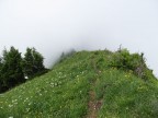 Tälispitze, Kuhspitze, Hüttekopf, Hochgerach