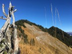 Vom Furkajoch zur Hangspitze