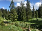 Baumgartenkopf, Schwarzenkopf und Jaufen