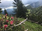Baumgartenkopf, Schwarzenkopf und Jaufen