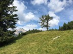 Silberspitze
