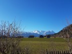 Schafkopf
