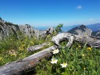 Sebenkopf Südwestverschneidung