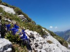 Falschkogel Terrassenwanderung