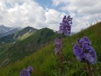 Zweiländerklettersteig