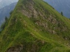 Gehrenspitze, Kanzelwand, Fellhorn, Schlappoltköpfe, Söllerköpfe und Söllereck