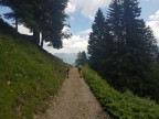 Gehrenspitze, Kanzelwand, Fellhorn, Schlappoltköpfe, Söllerköpfe und Söllereck