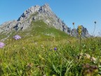 Hammerspitze, Hochgehrenspitze, Schüsser