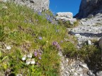 Imster Klettersteig