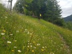 Kellaspitze und Guggernülli