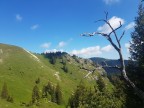 Jochschrofen, Hirschberg und Spießer