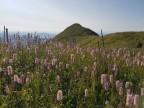 Hoher Kasten und Kamor