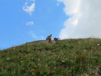 Künzelturm und Niedere Künzel