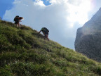 Künzelturm und Niedere Künzel