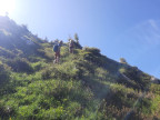 Formaletsch