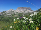 Formaletsch