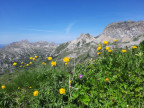 Formaletsch