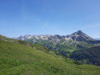 20250625_133544.jpg