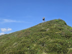 Piramide, Klippern, Gungern, Wannenkopf