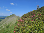 Piramide, Klippern, Gungern, Wannenkopf