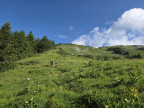 Rote Wand